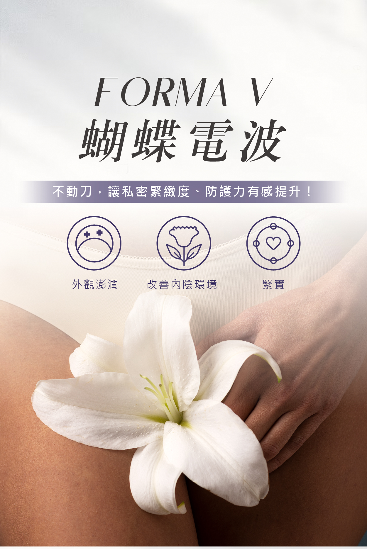 手機版banner all_蝴蝶電波9-400