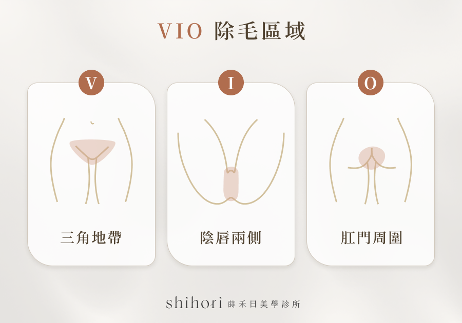VIO 除毛的範圍